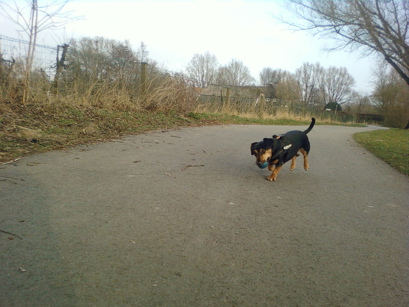 ik loop op 2 pootjes!