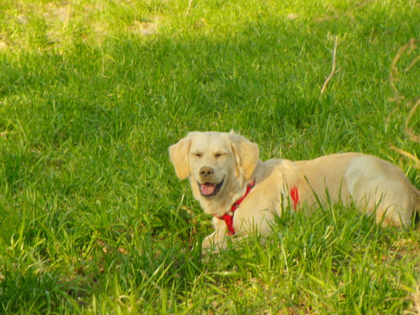 HAH, IK HEB MODDER OP MIJN NEUS!