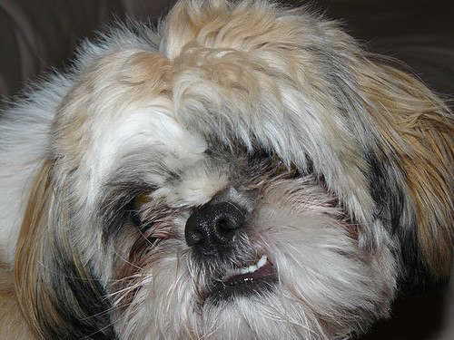 lizzy op haar charmantst