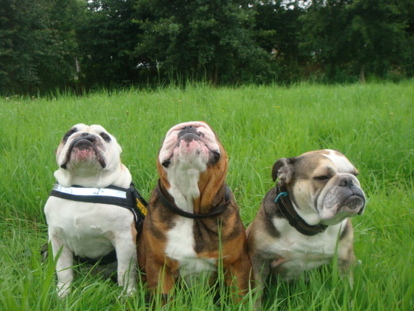 gewoon de andere kant op kijken