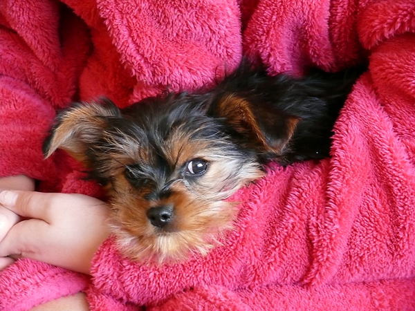 Ik lig lekker en jij niet XP