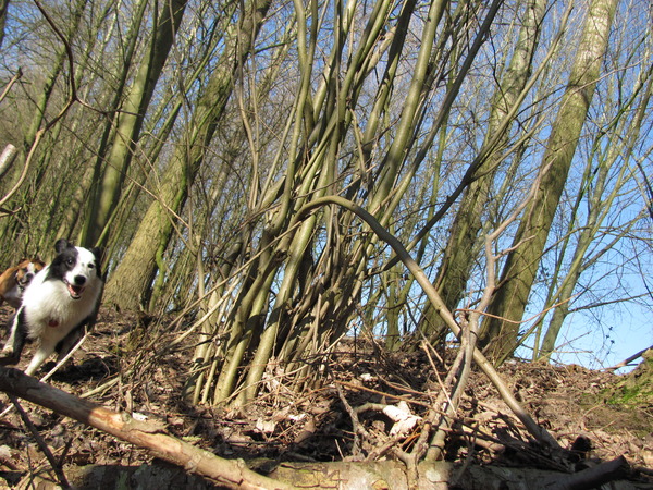 Wij zijn hier in de hoek hoor!