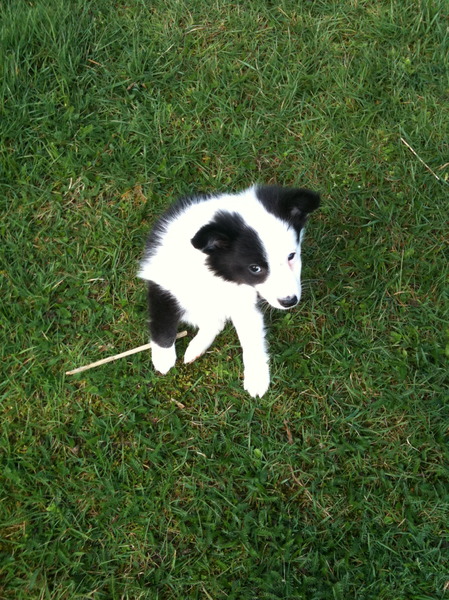 huh hoe zit ik nou ?