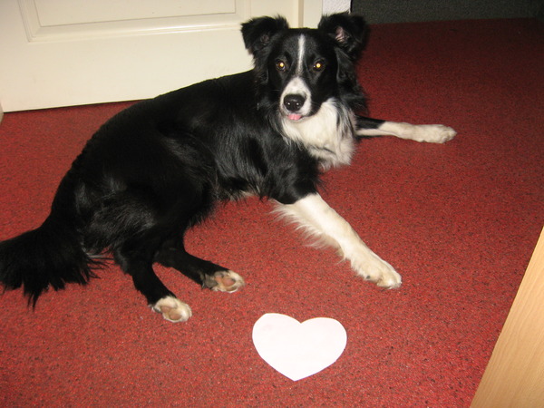 Ohh :O Dat tongetje was niet de bedoeling :O ?!