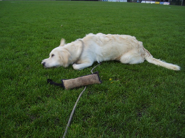 even rollen en klaar, maar dat rollen duurde te lang