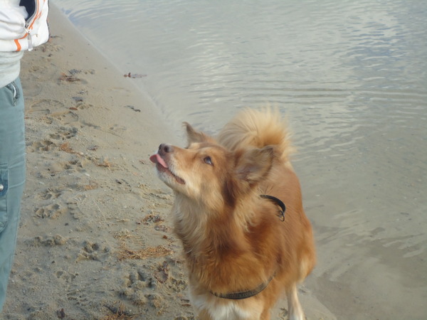 Katie wil ook wel een kipje