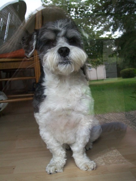 op vakantie in luxemburg