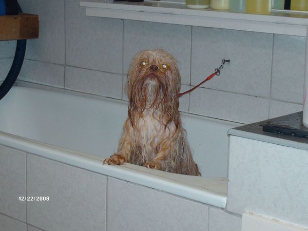 nee ik ben dus geen waterrat