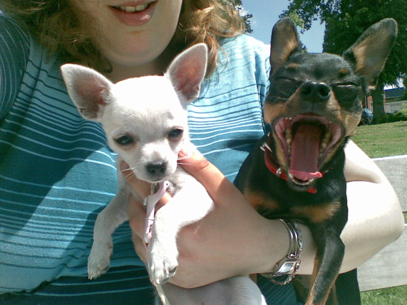 Laila moest gapen haha