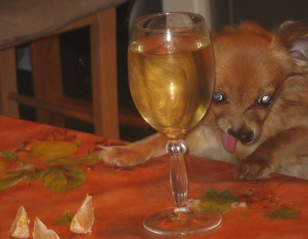 Gelukkige Nieur Jaar!!!