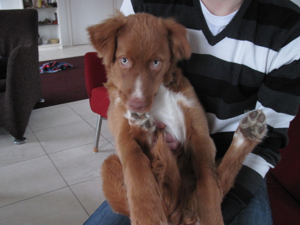 Tukkers charmantste pose