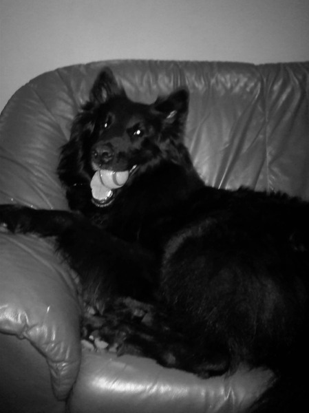 Dikke billen op de bank!