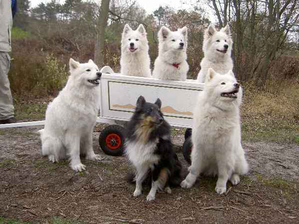 Op stap met de Schylger Roedel