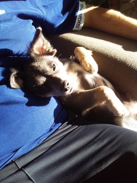 hij lag zo lekker te zonnen.. tot ie doorhad dat er een camera was