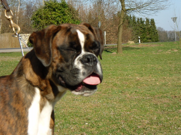 heb er geen zin meer in!!!