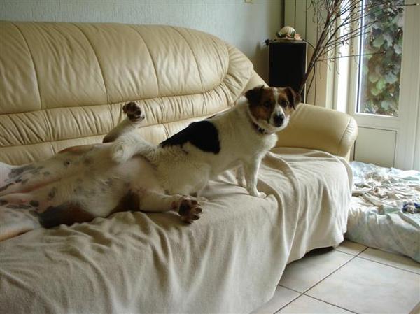 lekker maffe in m,n eigen huis