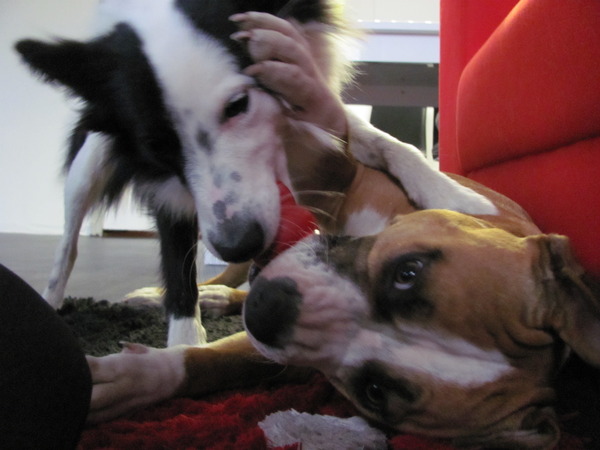 samen eten is ook gezellig!