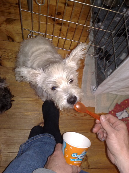 Amy, die van een ijsje geniet.