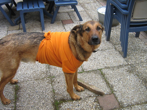 En ik hou niet eens van voetbal geef mij maar een tennisbal!