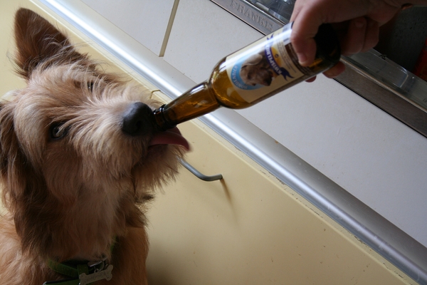 Mag het ook Proost! zijn in plaats van smakelijk eten... :-) 