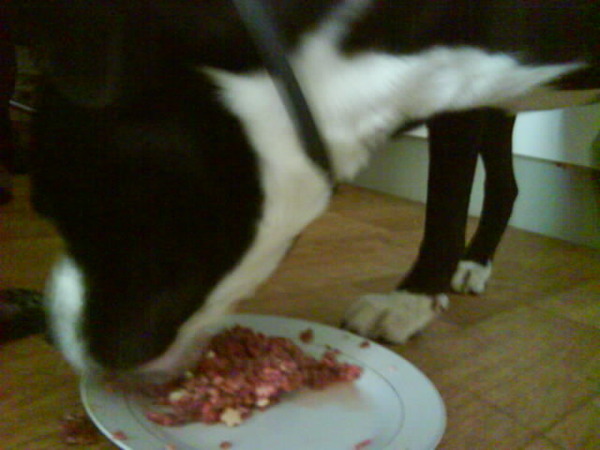 lekker vlees als een echt chentelman van een bord