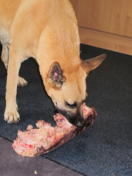 Nike met een overheerlijke kluif