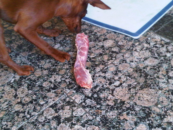 Jazzy met haar eendennek(je)