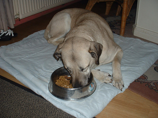 Lekker lui aan het eten