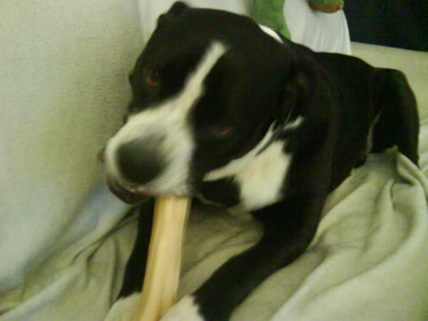 lekker een bot maar ben een vlees hond