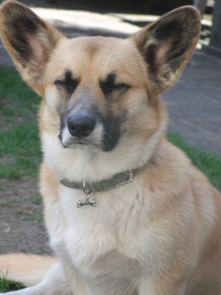 Ik zou niet kijken hoor vrouwtje!