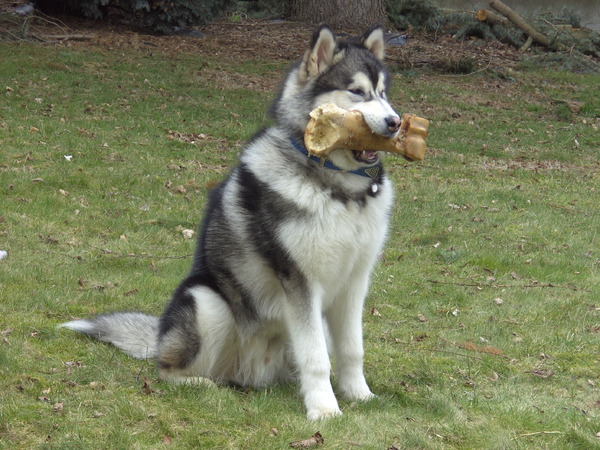 Mijn mond is net groot genoeg