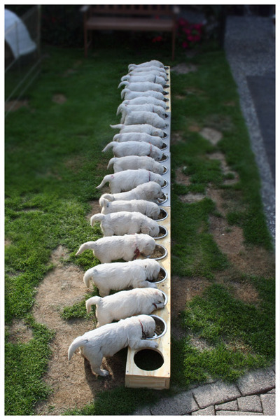 lekker samen smikkelen