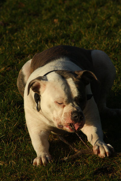 hij smaakte niet zo lekker denk ik haha