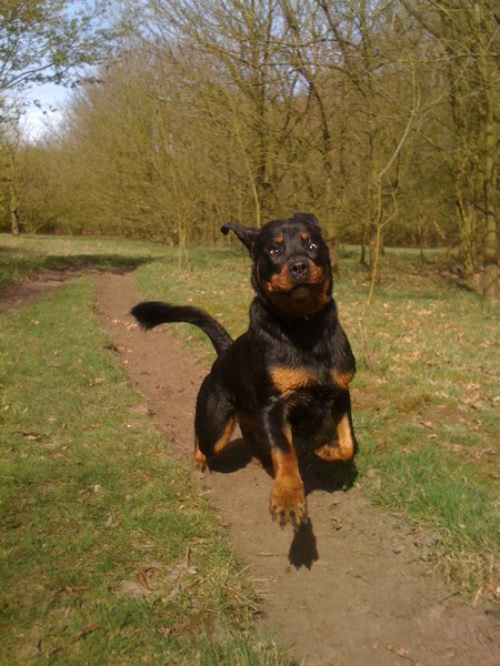 Foto? Niks foto! Ik ren hard weg..