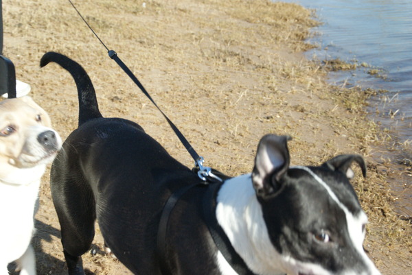 hihi leuk aan het spelen??