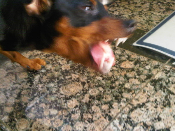 Lina eet haar eendennek