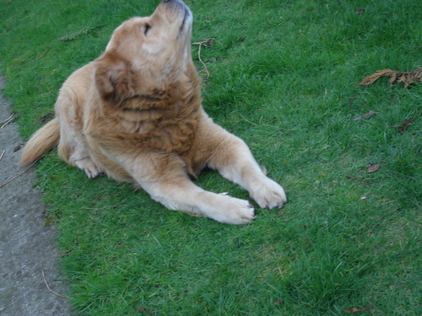 kijk eens naar het vogeltje =D 