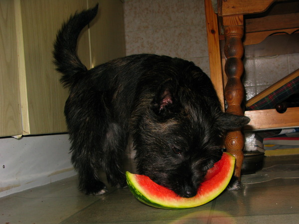 Een stukje fruit hoort erbij.