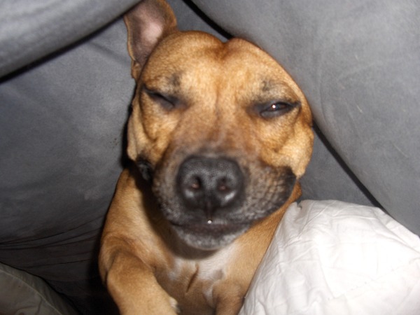 opgefrommeld op de bank