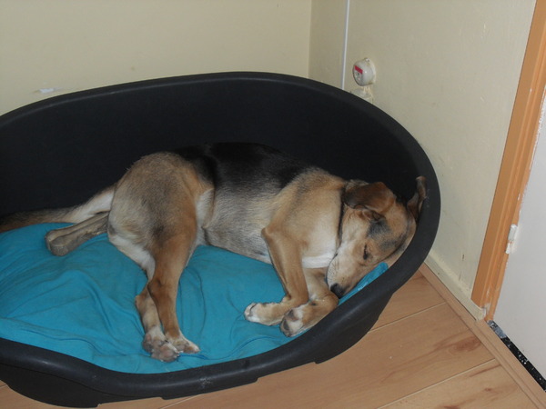 Het is niet wat het lijkt?? Of wel....