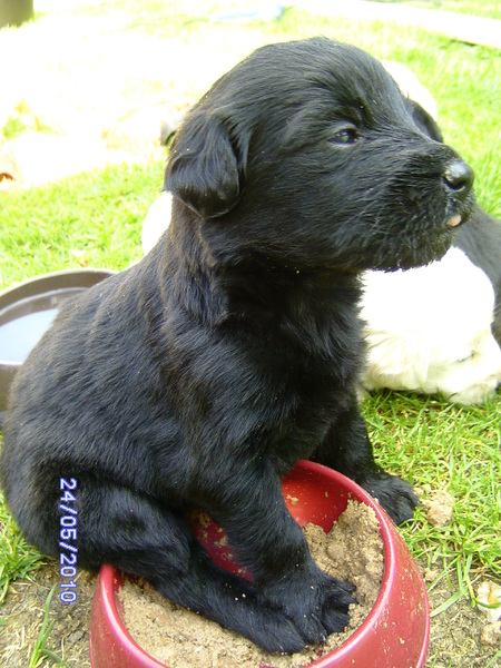 Voor de latste keer  : DIT IS MIJN BAKJE!!!