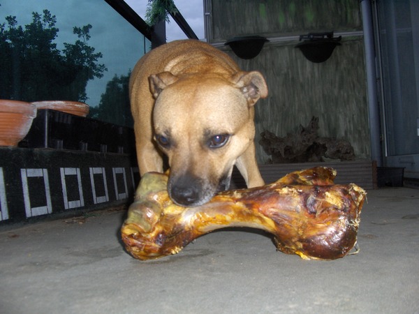 ik heb een bo-hot en jij lekker nie-hiet