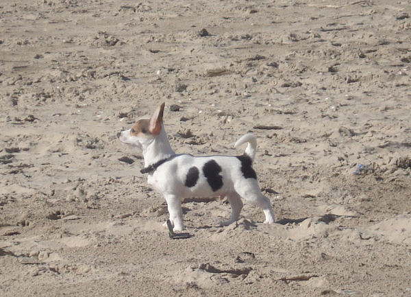stoer ben ik he op het hele grote strand