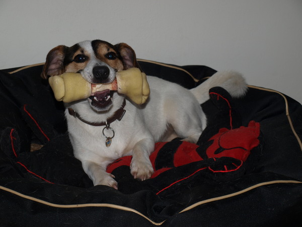 Wat een lekker botje.