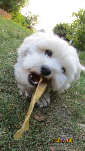 Diesel heerlijk aan het genieten