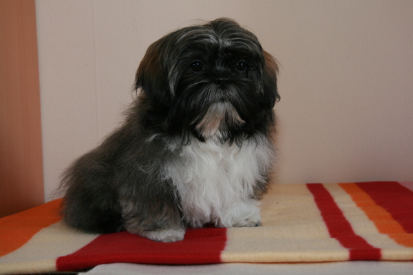 Charley