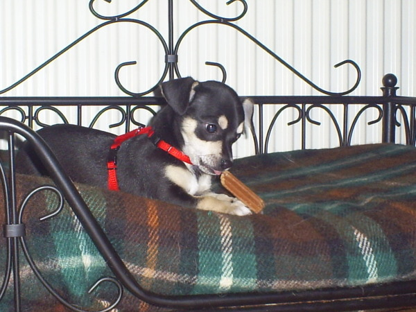 mailo dit laat ik nooit meer los oh lekker