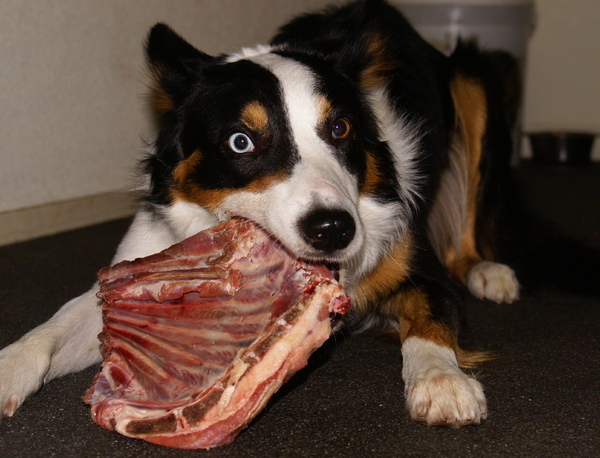 Eten kan ie prima...