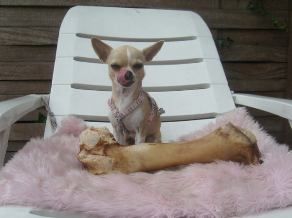 Hailey kreeg een cadeautje:D