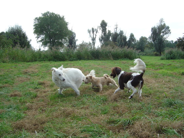 Kan maar duidelijk zijn